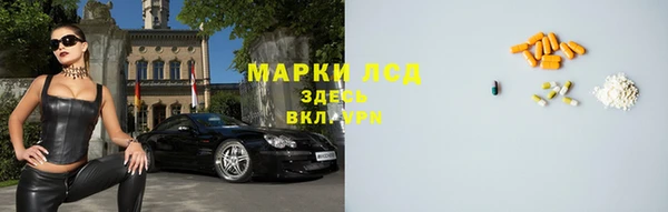 прущие грибы Балабаново