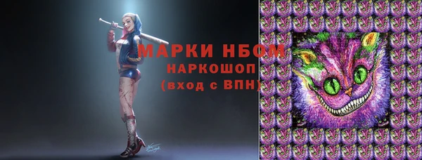 прущие грибы Балабаново